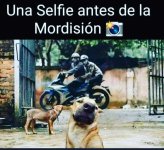 una-selfie-antes-de-la-mordision-406127.jpg